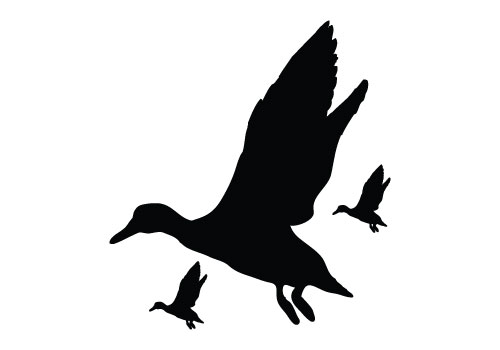 Flying Duck Silhouette Vector