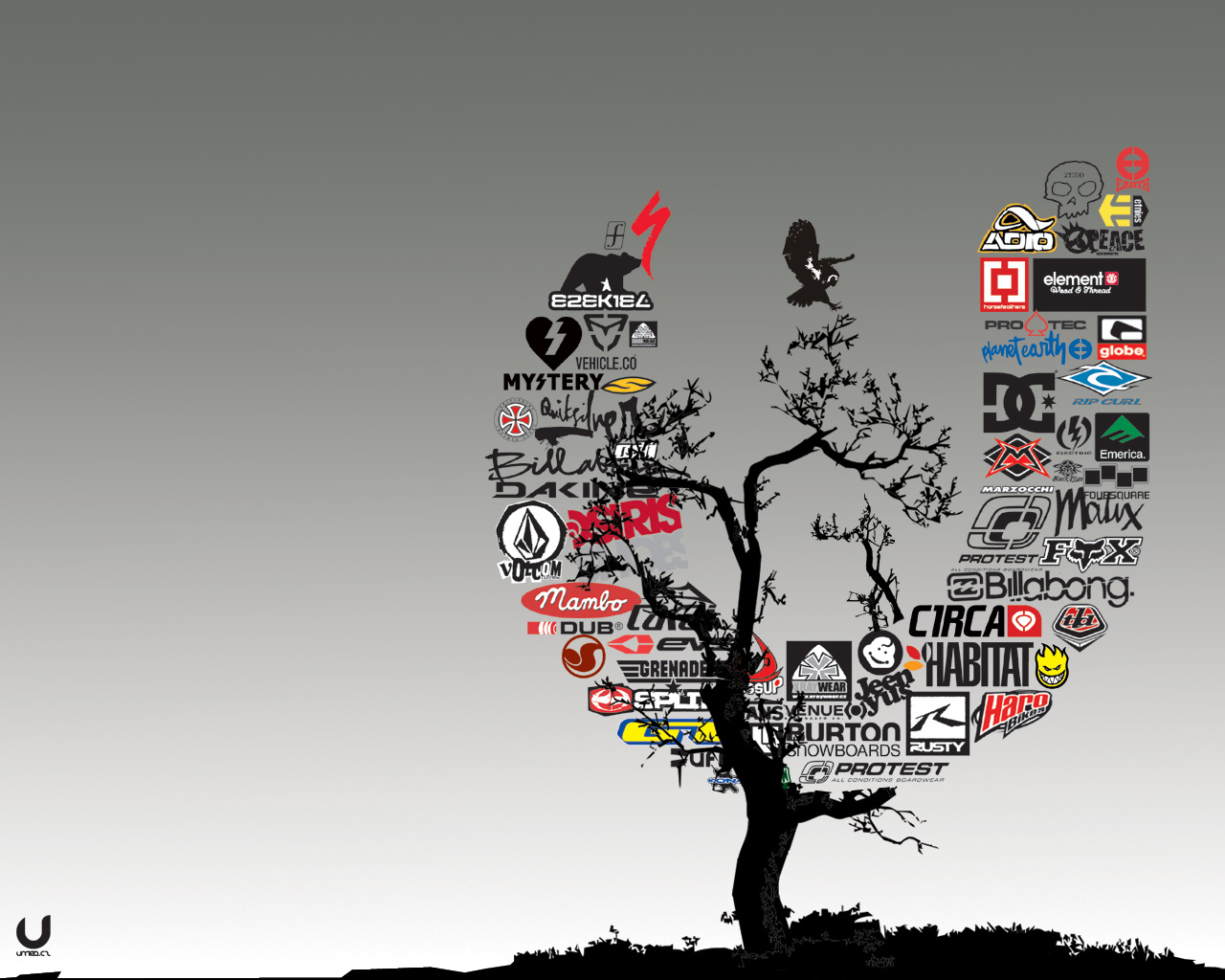 Graphic Art Designs Graphic Art Designs