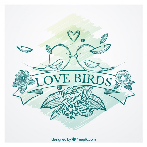 Hand Drawn Love Birds