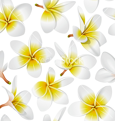 Hawaiian Tropical Flowers Vector