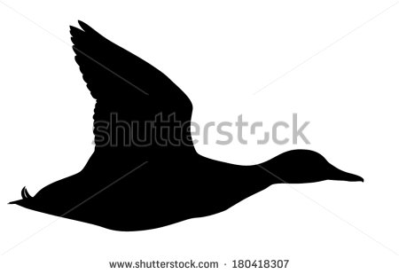 Mallard Duck Flying Silhouette