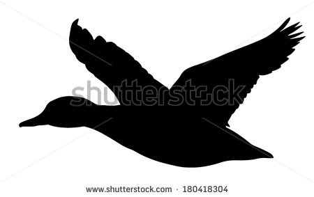 Mallard Duck Silhouette Vector