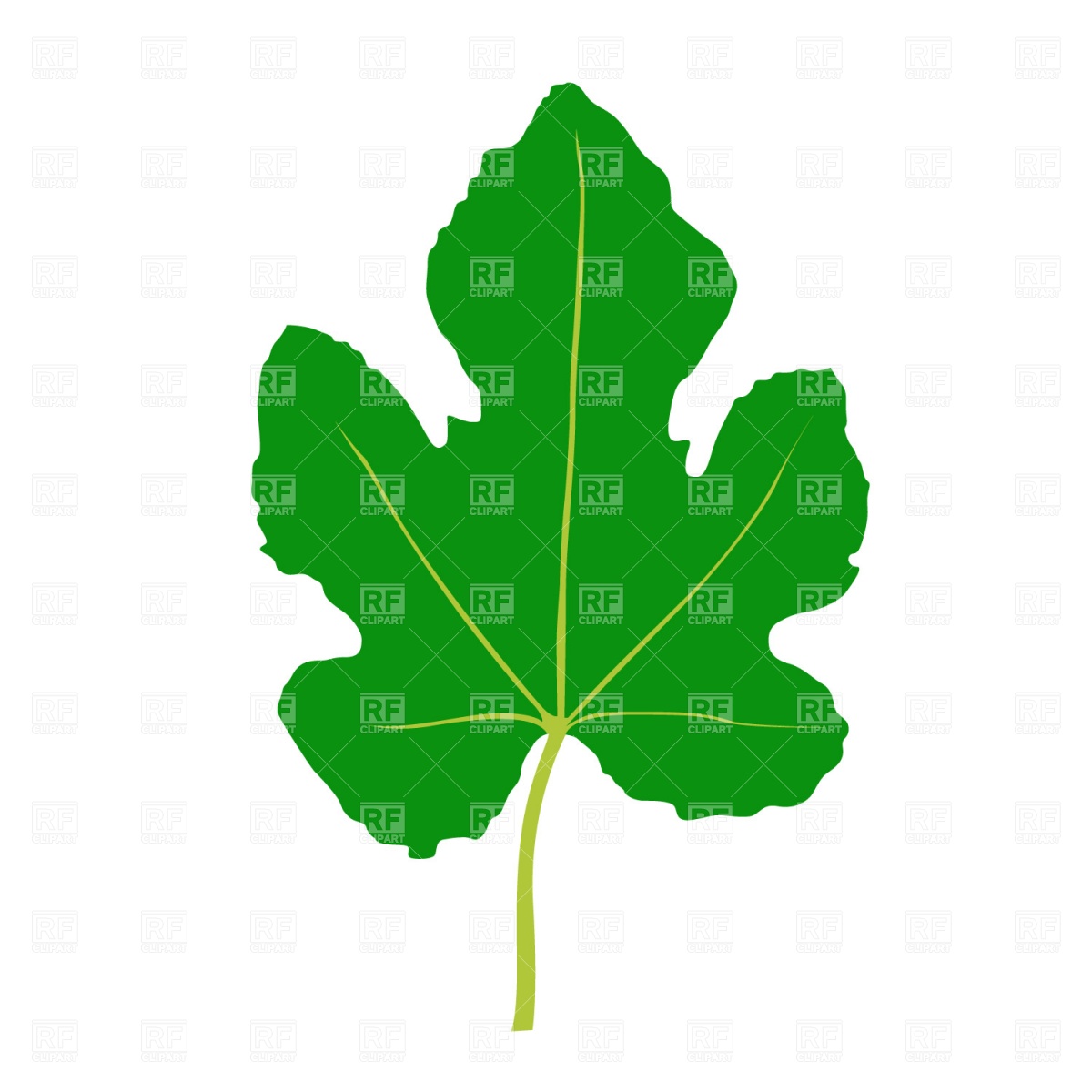 Maple Leaf Vector Clip Art