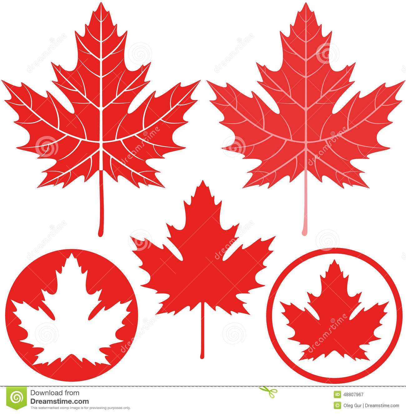 Maple Leaf Vector