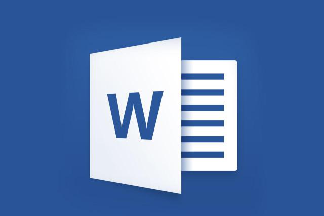 Microsoft Word 2013 Icon