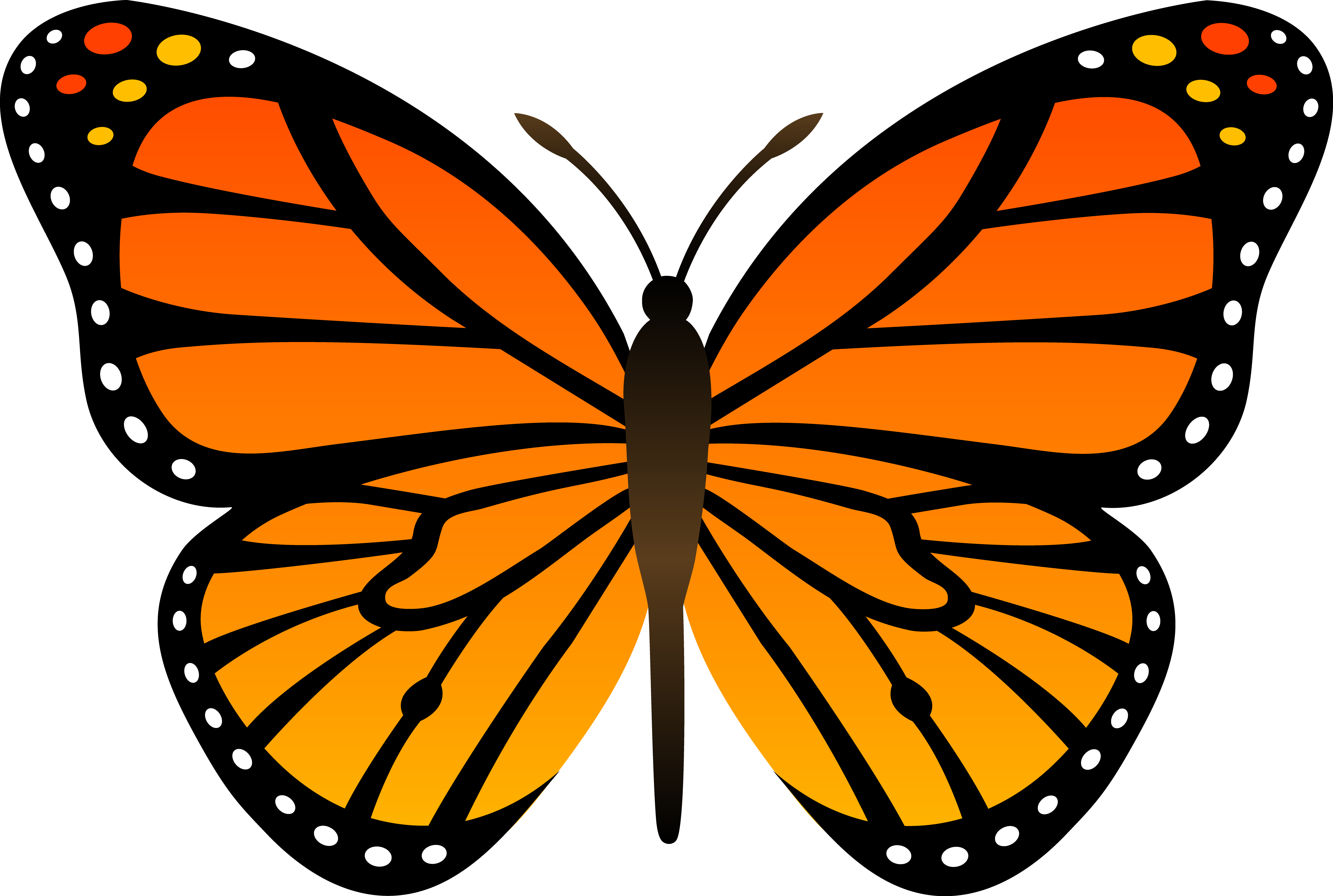 Monarch Butterflies Clip Art