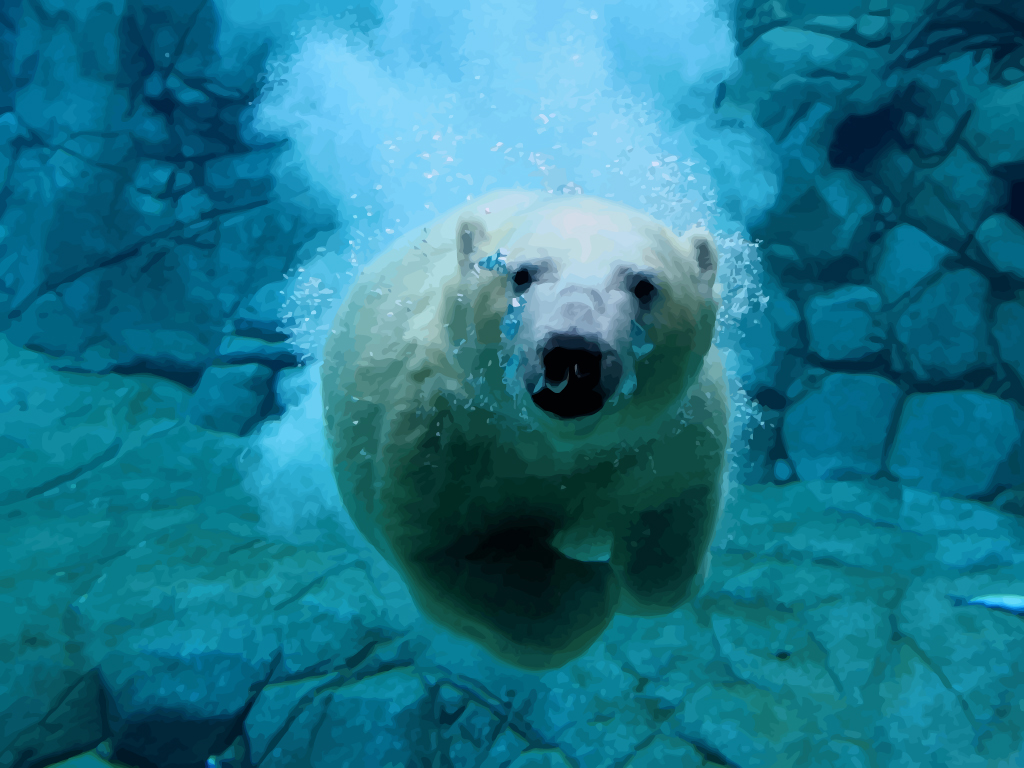 Polar Bear Swimming Polar Bear Swimming