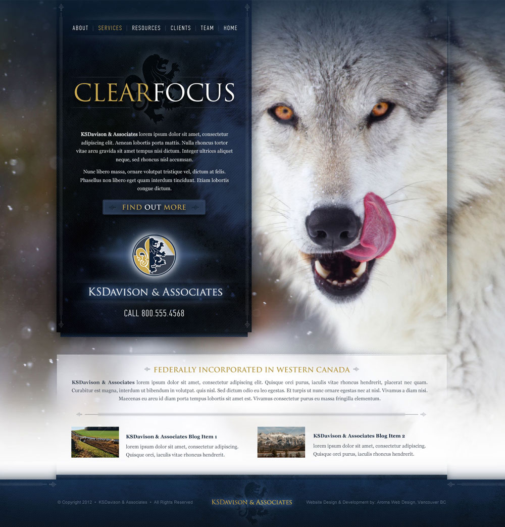 Professional Web Design Company Professional Web Design Company