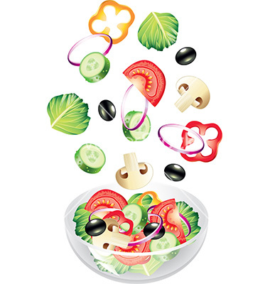 Salad Vector