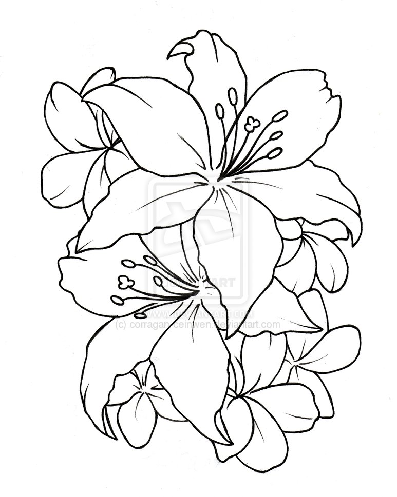 Simple Flower Tattoo Designs Simple Flower Tattoo Designs
