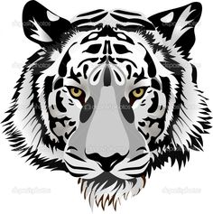 Tiger Head