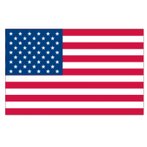 United States Flag Vector Logo