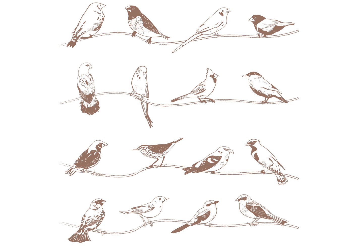 Vector Hand Drawn Birds