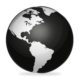 Black and White Globe Icon