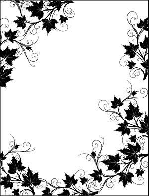 Black and White Lace Border