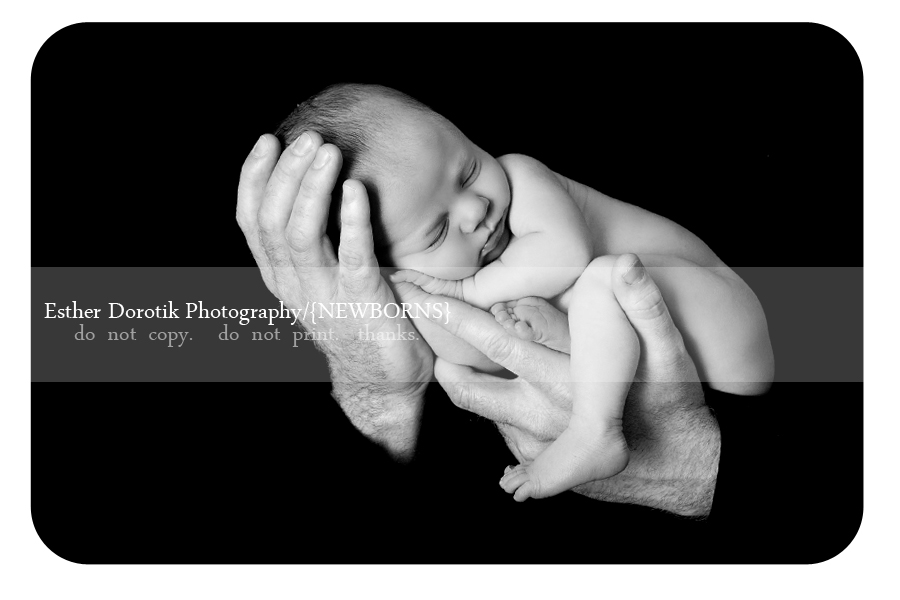 Black and White Newborn Photography