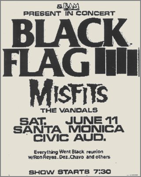 Black Flag Flyer