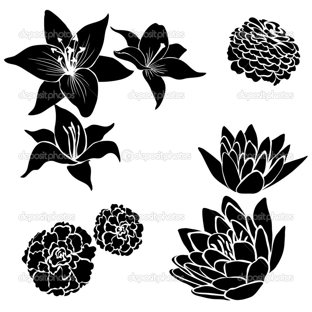 Black Floral Design Flower Vector