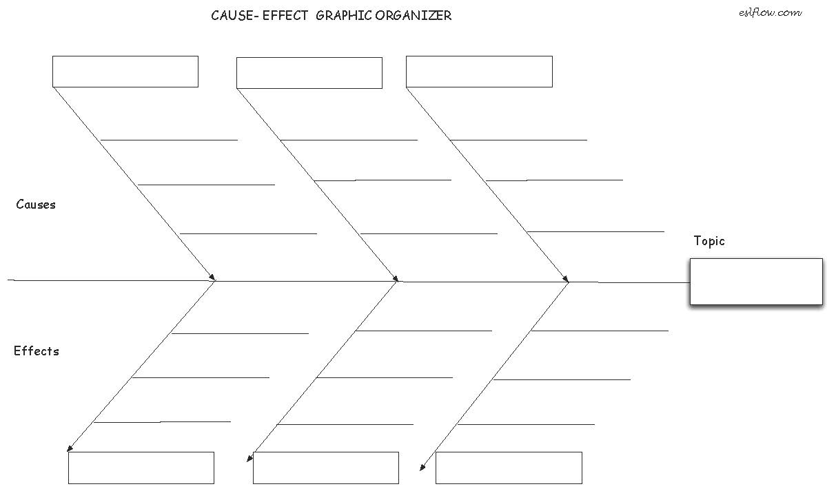 Cause and Effect Essay Graphic Organizer