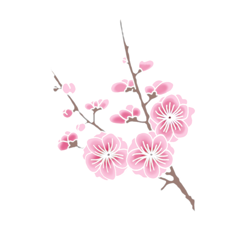 Cherry Blossom Drawings