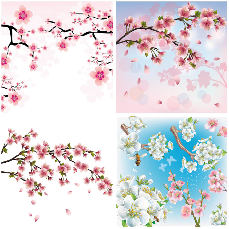 17 Cherry Blossom PNG Vector Graphic Images