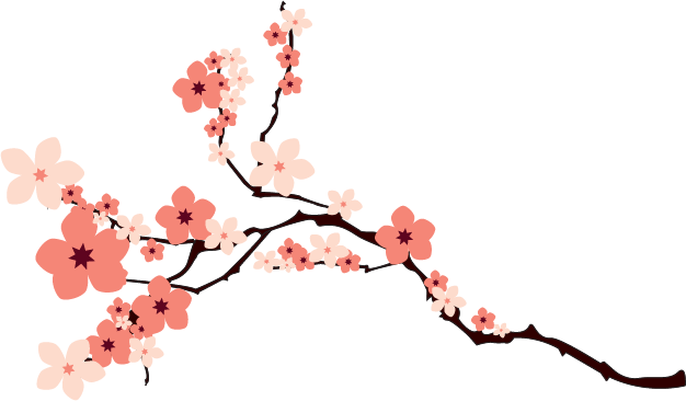 Cherry Blossom Vector