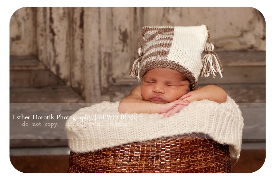 Dallas Newborn Photographer