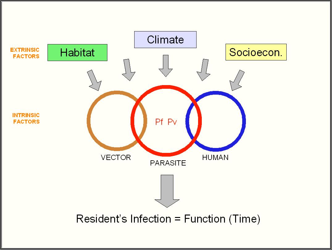 Dynamic Transition Model