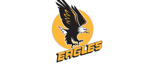 Eagle Head Logo Design