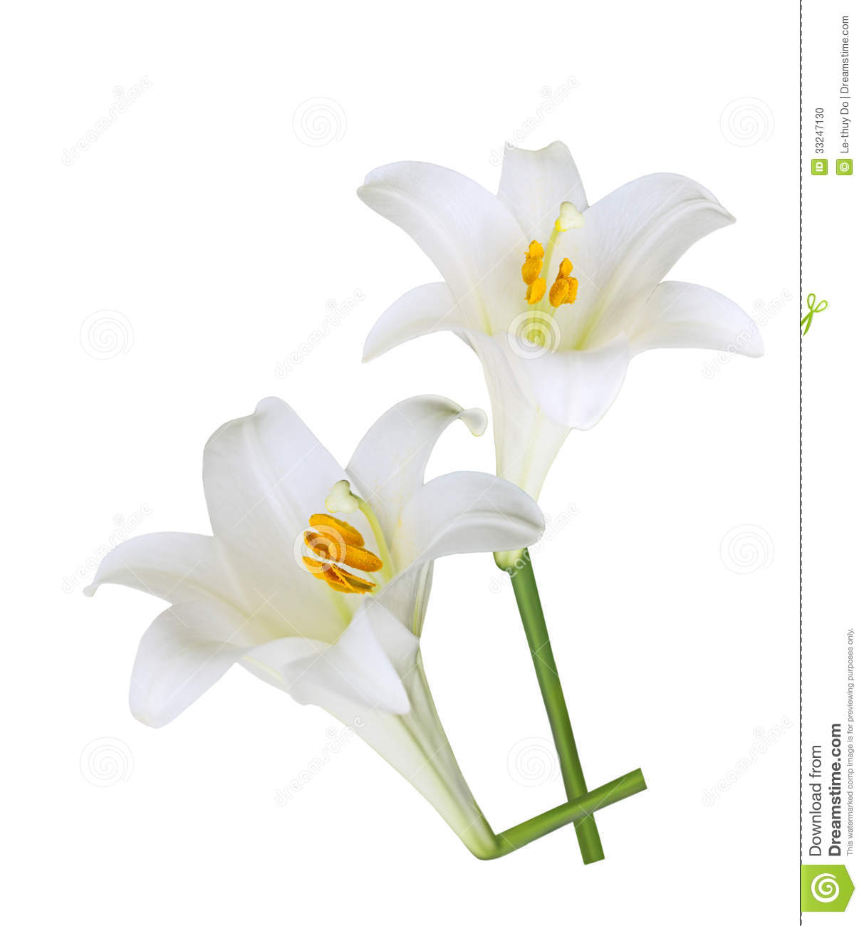 Easter Lilies Flowers Clip Art