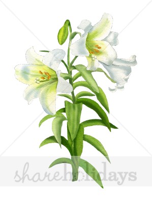 Easter Lily Clip Art Free