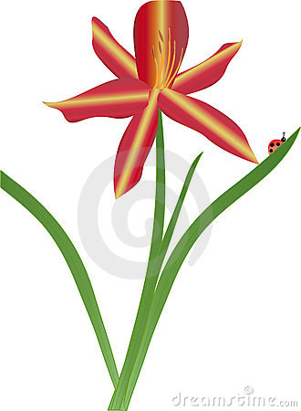 Easter Lily Vector Art