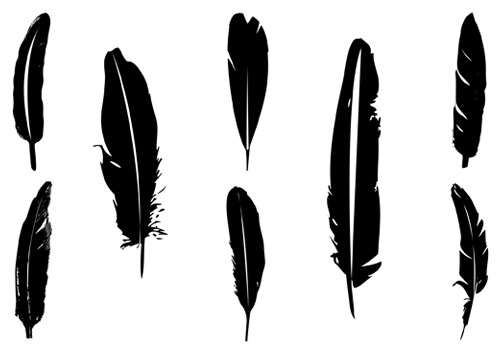 6 Indian Feather Vector Images