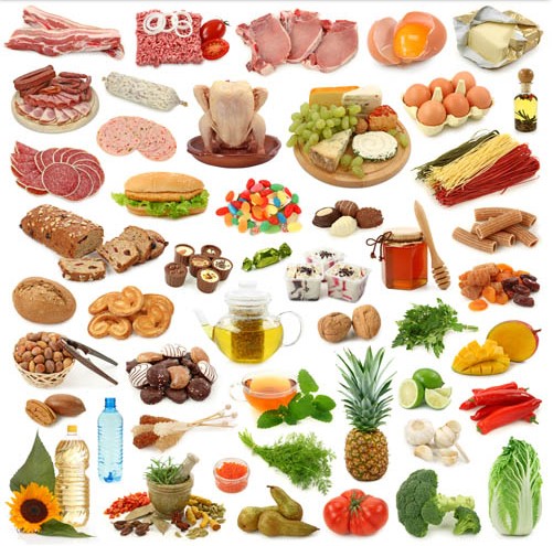 Free Food Vector Free Food Vector