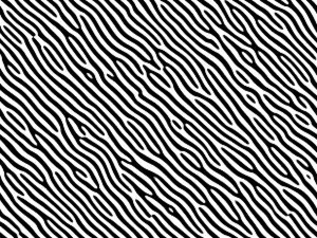 Free Printable Zebra Print Free Printable Zebra Print