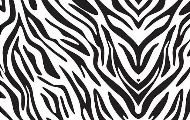 7 Animal Print Folder Icons Images