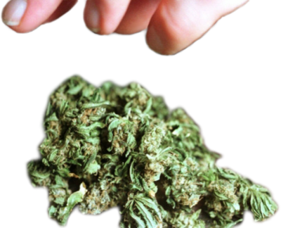 Hand Weed Hand Weed