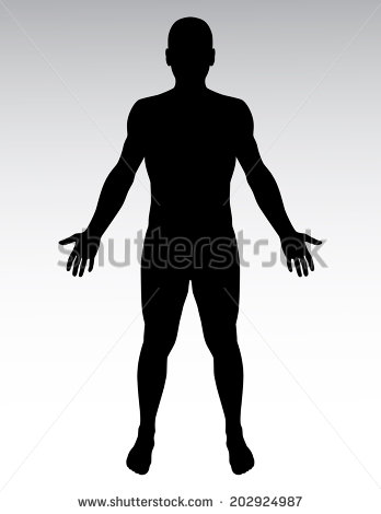 Human Silhouette Vector