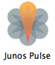 Junos Pulse Secure Icon