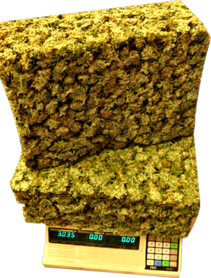 Loud Weed Pounds Loud Weed Pounds