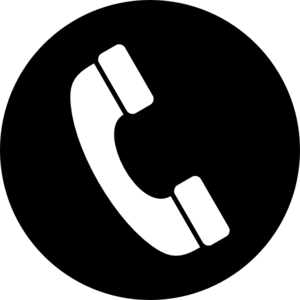 Phone Icon Vector