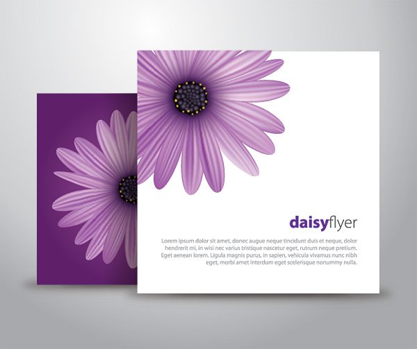 Photoshop PSD Photoshop PSD