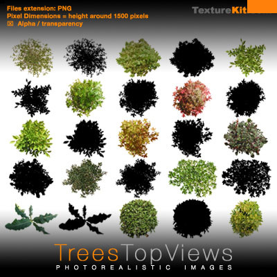 Photoshop Trees Plan View