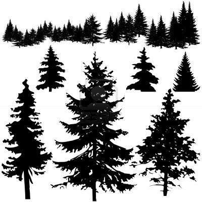 Pine Tree Silhouette Vector