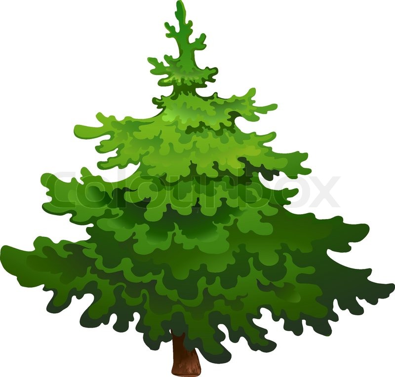 Pine Tree Vector Transparent