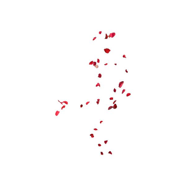 PSD Red Rose Petals