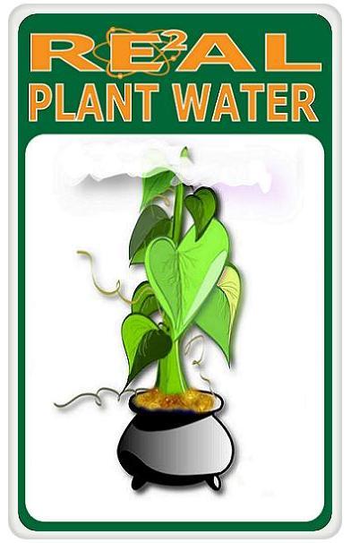 Real Water Plant