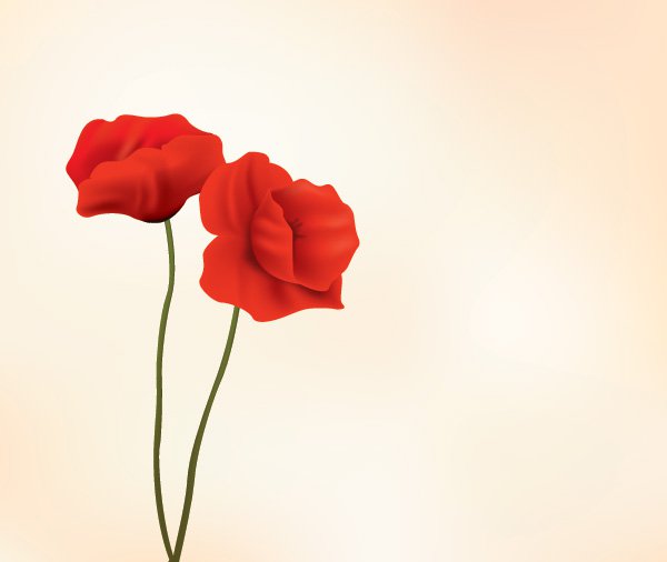 Red Flowers Vector Graphic