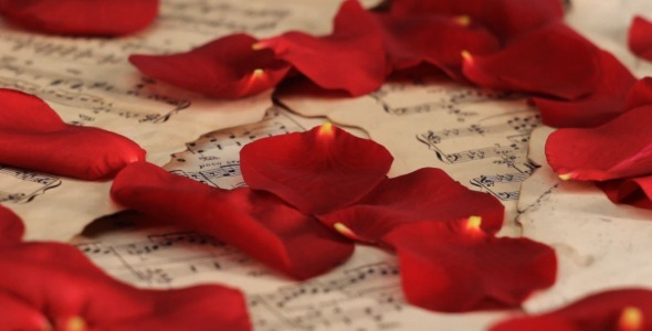 Red Rose Petals Falling