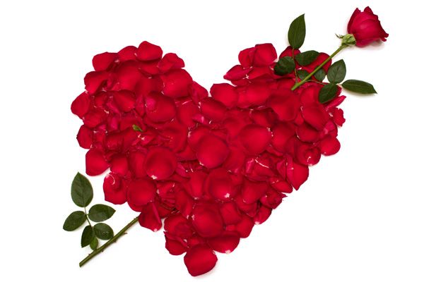 Rose Petal Heart Rose Petal Heart